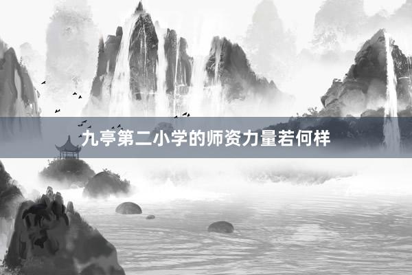 九亭第二小学的师资力量若何样